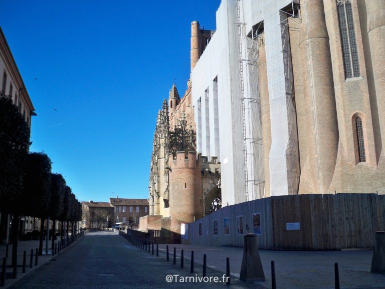 Début des travaux place Sainte Cécile à Albi Tarnivore
